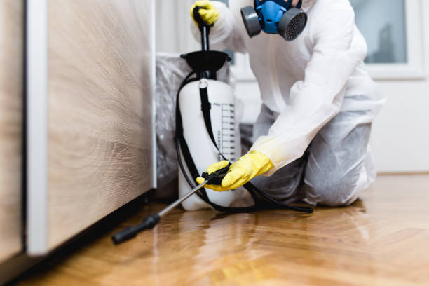 Best Bed Bug Extermination  in Quinnesec, MI