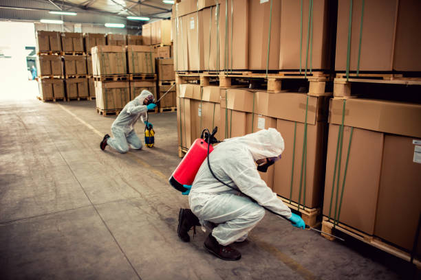 Best Wasp Removal Services  in Quinnesec, MI