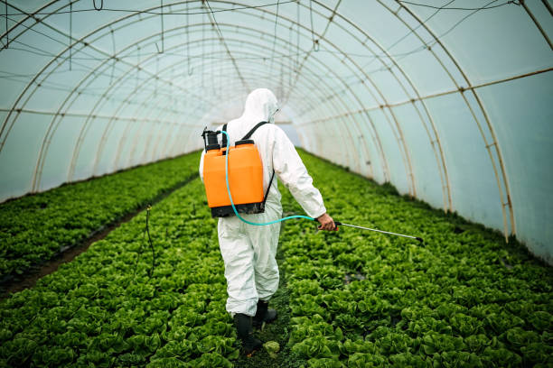 Best Pest Inspection Near Me  in Quinnesec, MI
