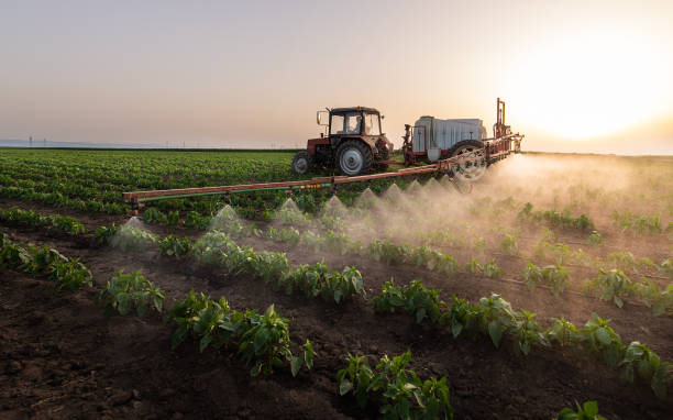 Best Best Pest Control Companies  in Quinnesec, MI
