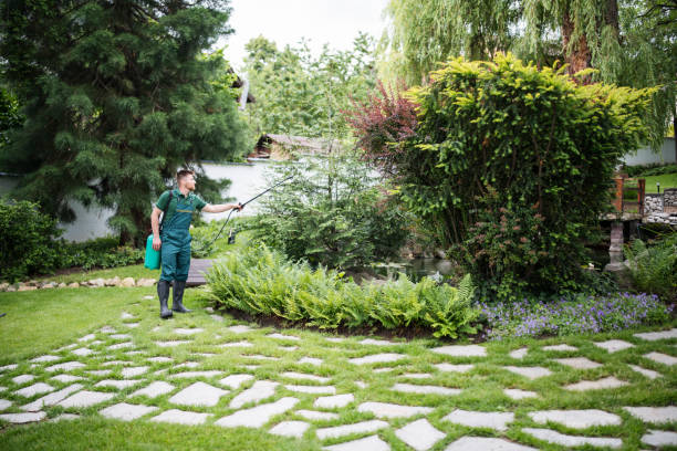 Best Pest Removal Services  in Quinnesec, MI