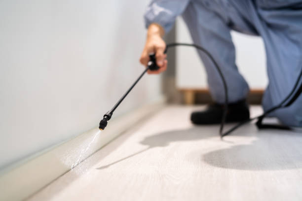 Best Pest Control Treatment  in Quinnesec, MI