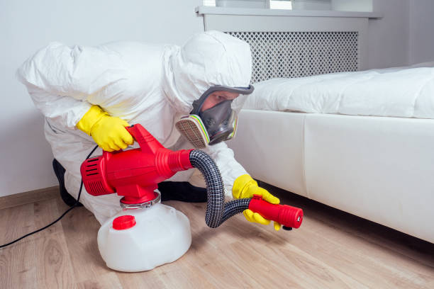Best Affordable Pest Control Services  in Quinnesec, MI