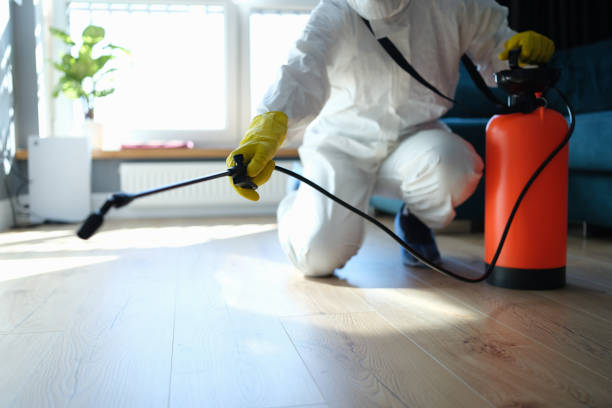 Best Termite Control Services  in Quinnesec, MI
