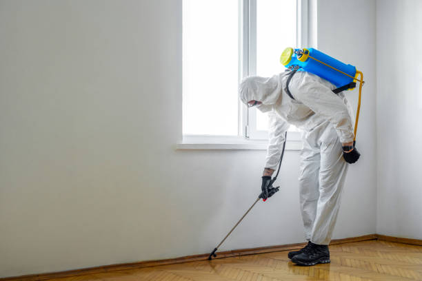 Best Local Pest Control Services  in Quinnesec, MI