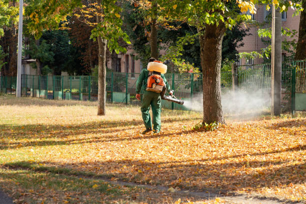 Best Termite Control Services  in Quinnesec, MI