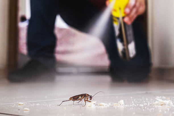 Flea Control Services in Quinnesec, MI