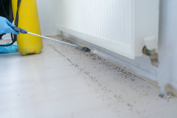 Best Emergency Pest Control  in Quinnesec, MI