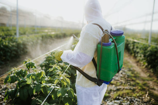 Best Best Pest Control Companies  in Quinnesec, MI